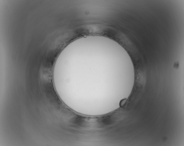 X0000113950419200909251007