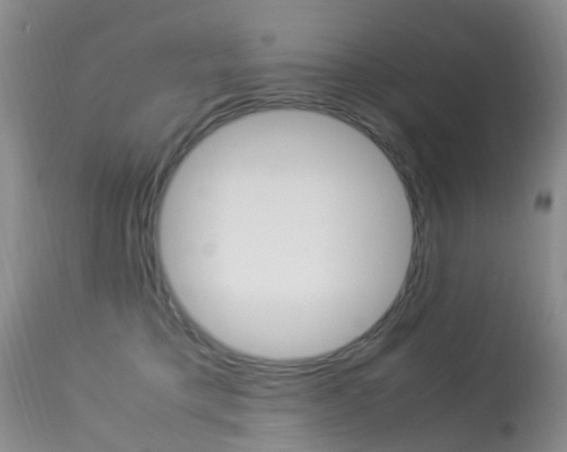 X0000113950421200909251007
