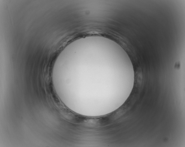 X0000113950422200909251007