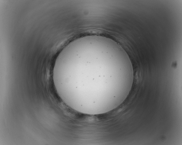 X0000113950424200909251007