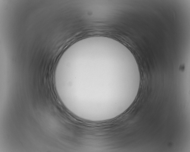 X0000113950425200909251007