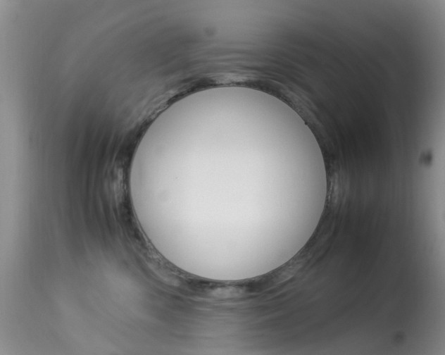 X0000113950426200909251007