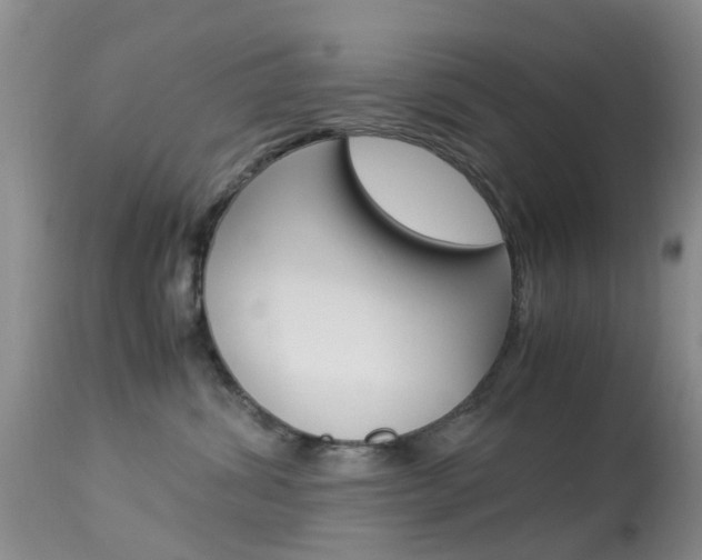 X0000113950428200909251007