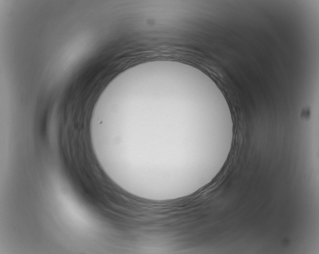 X0000113950429200909251007