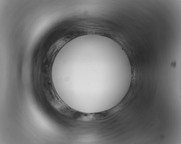 X0000113950430200909251007
