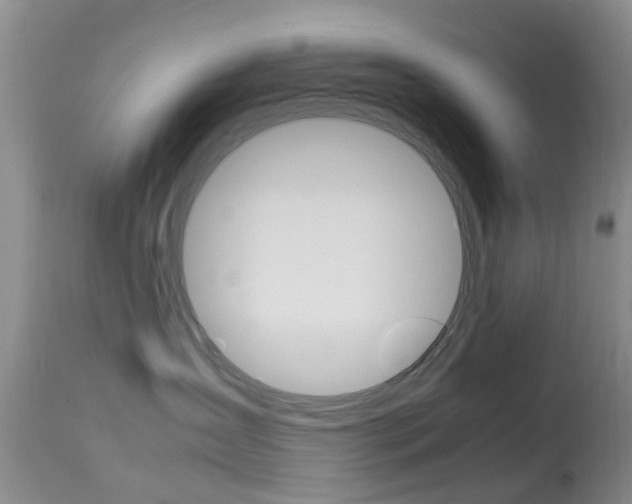 X0000113950431200909251007