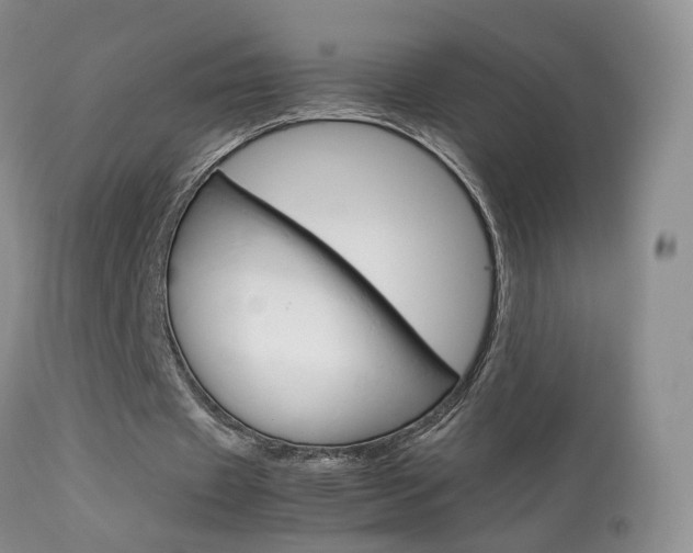 X0000113950433200909251007