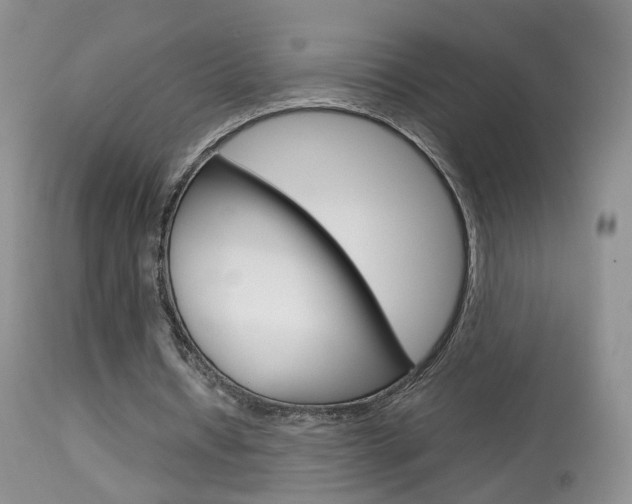 X0000113950434200909251007