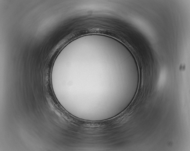 X0000113950435200909251007