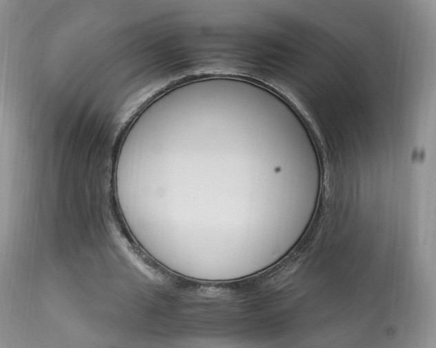 X0000113950437200909251007