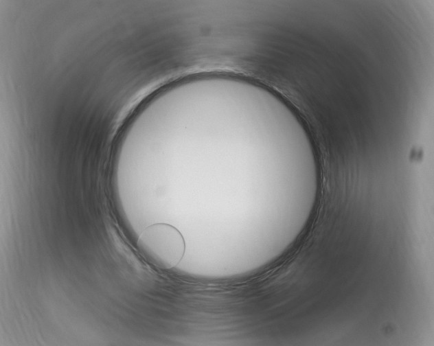 X0000113950440200909251007