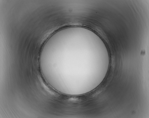 X0000113950441200909251007