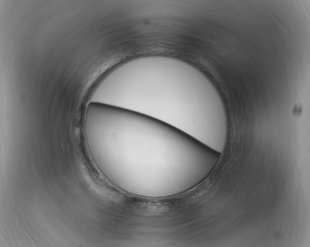 X0000113950443200909251007