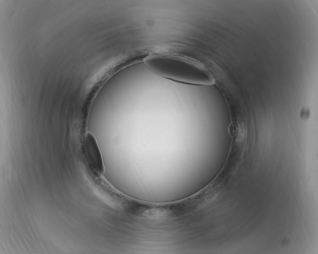X0000113950444200909251007