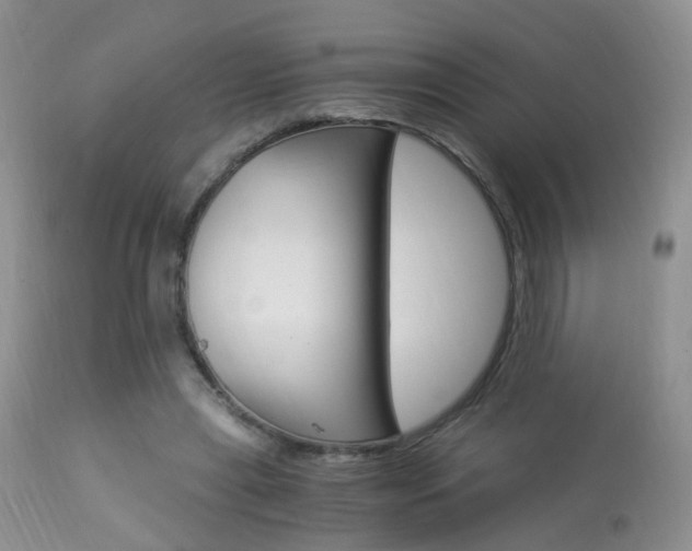 X0000113950445200909251007