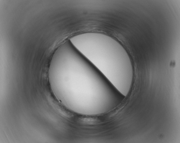 X0000113950449200909251007