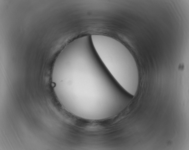 X0000113950451200909251007
