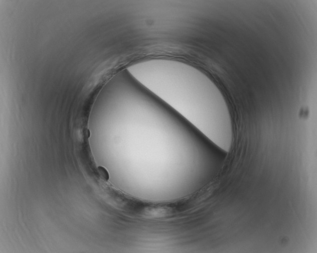 X0000113950452200909251007