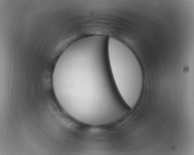 X0000113950453200909251007