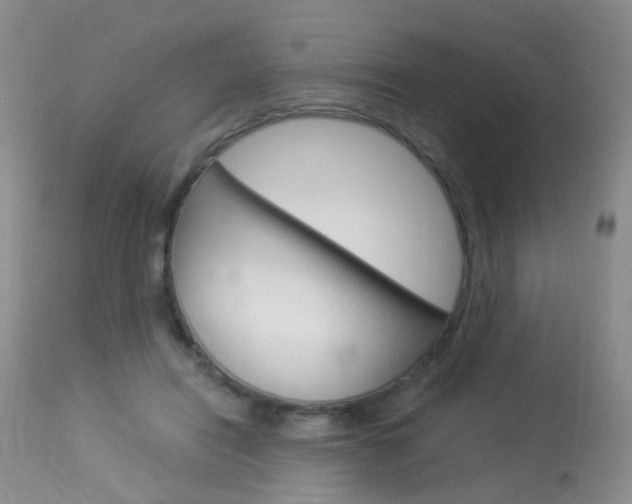X0000113950454200909251007