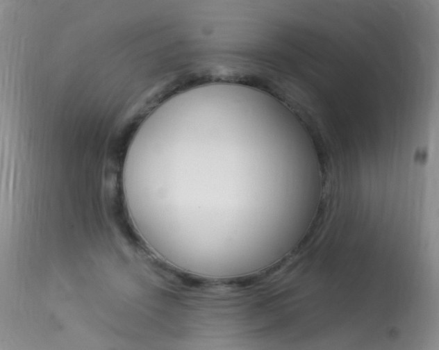 X0000113950456200909251007