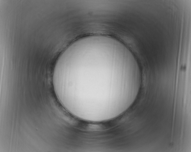 X0000113950457200909251007