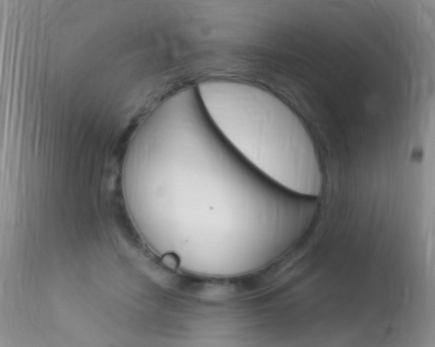 X0000113950458200909251007