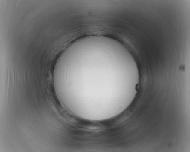 X0000113950459200909251007