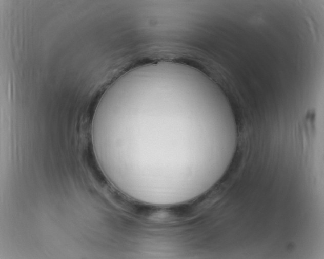 X0000113950460200909251007
