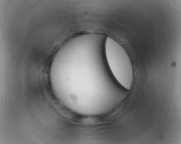 X0000113950461200909251007