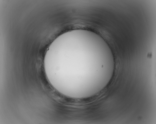 X0000113950463200909251007