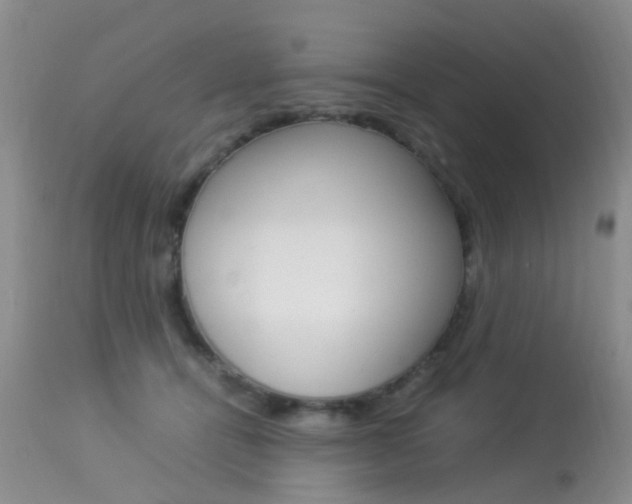 X0000113950464200909251007