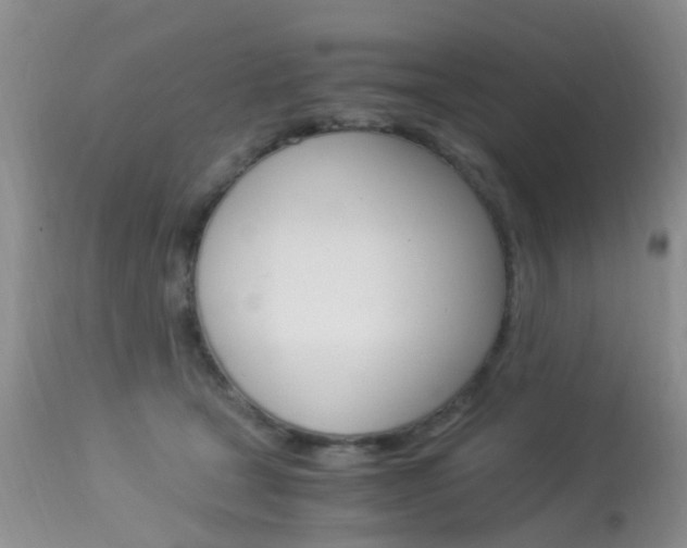 X0000113950465200909251007