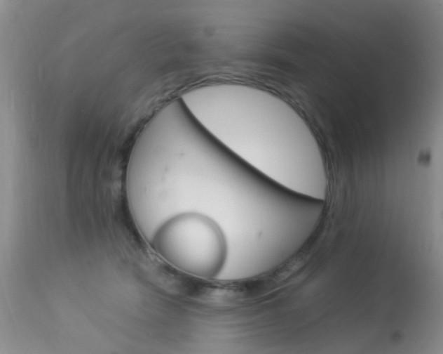 X0000113950466200909251007