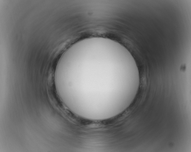 X0000113950468200909251007
