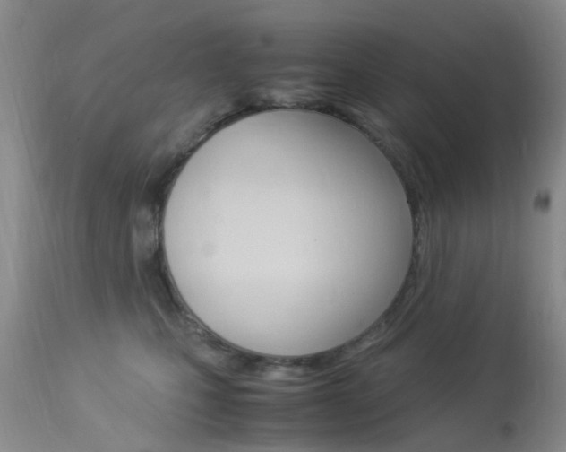 X0000113950471200909251007