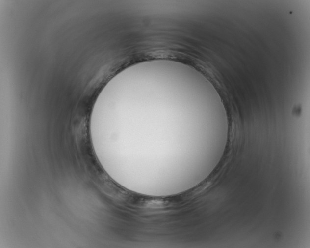 X0000113950473200909251007