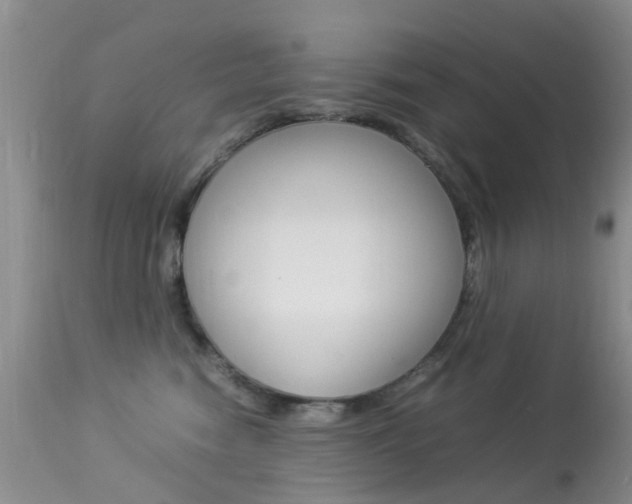 X0000113950474200909251007