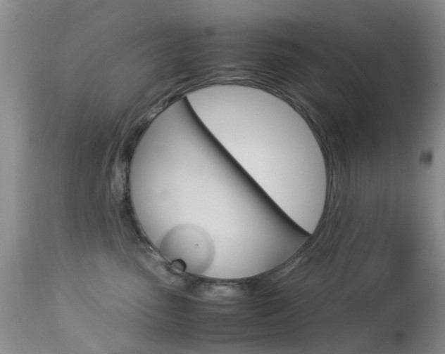 X0000113950475200909251007