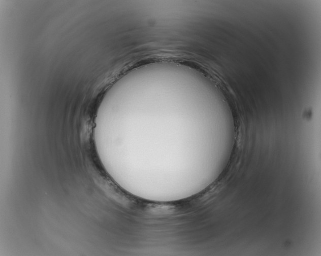 X0000113950476200909251007