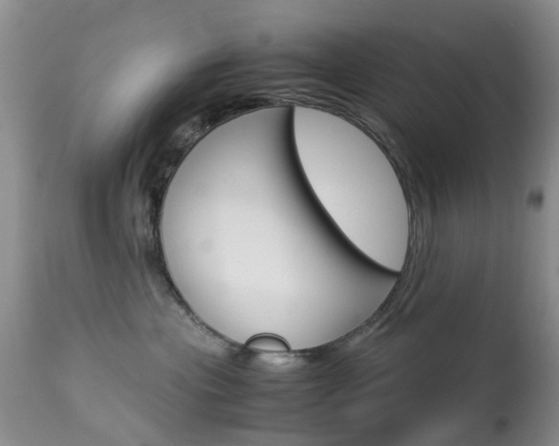 X0000113950477200909251007