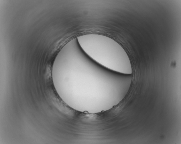 X0000113950478200909251007