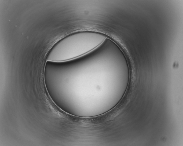 X0000113950481200909251007
