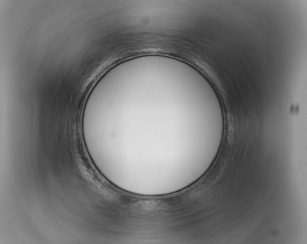 X0000113950482200909251007