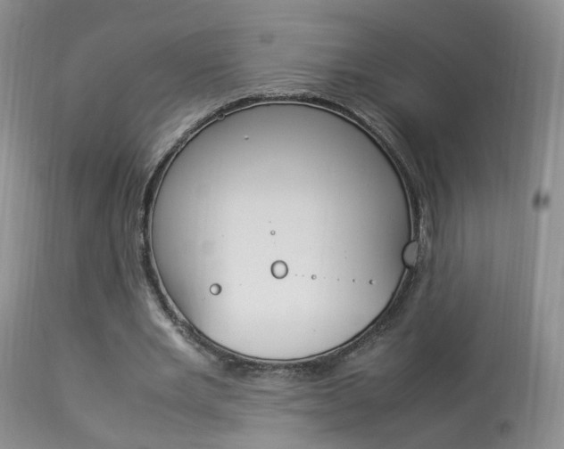 X0000113950485200909251006