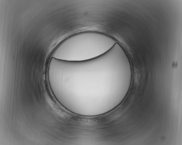 X0000113950486200909251006