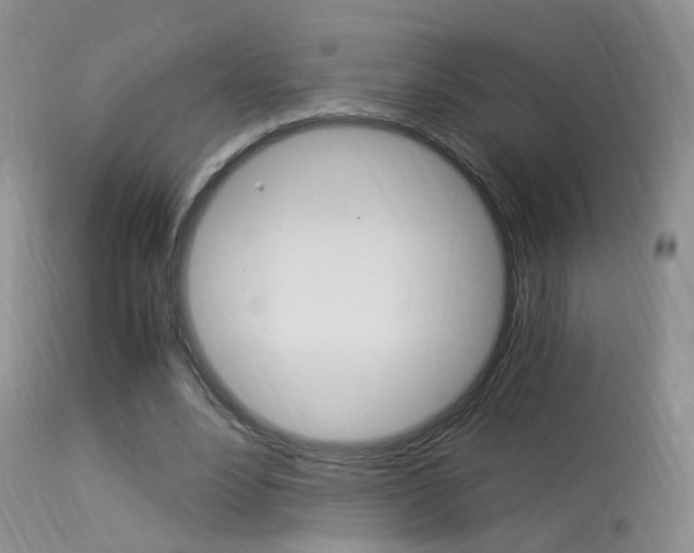 X0000113950488200909251006