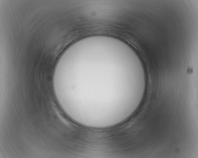 X0000113950489200909251006