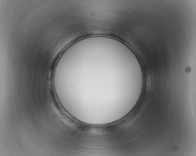 X0000113950490200909251006