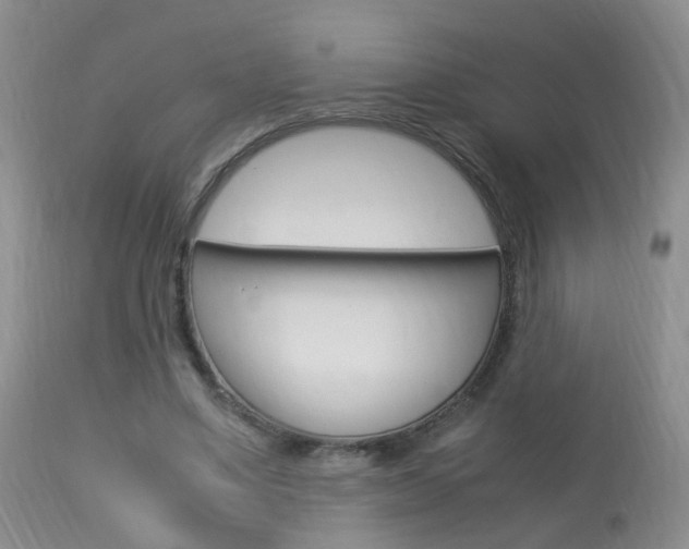 X0000113950491200909251006